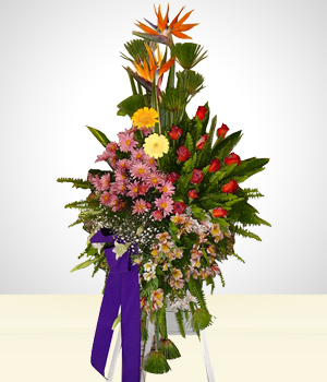 Flores a Ecuador Arreglo de Condolencias con Rosas y Gerberas en Trpode